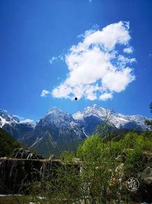 迪庆最新爆料,揭秘神秘事件背后的真相