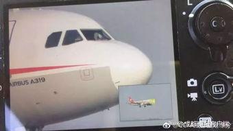 重庆飞行员爆料最新消息,揭秘飞行安全与内部管理真相