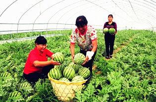 临夏吃瓜最新事件爆料